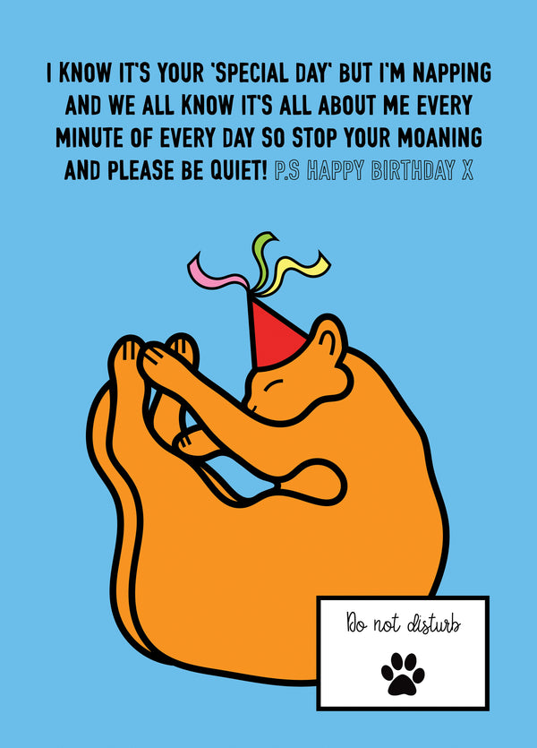 Do Not Disturb The Cat! Card