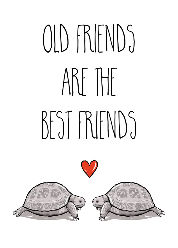 Tortoise Old Friends Card