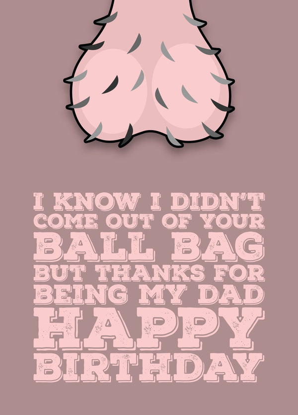 Step Dad's Birthday Ballbag Card