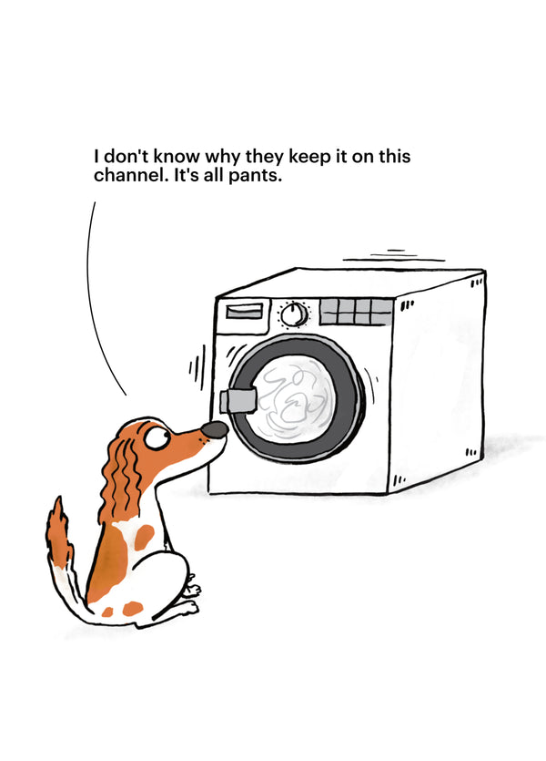 All Pants Dog Card