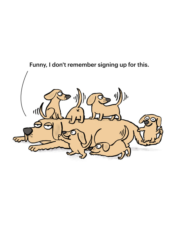 Mummy Dog Card