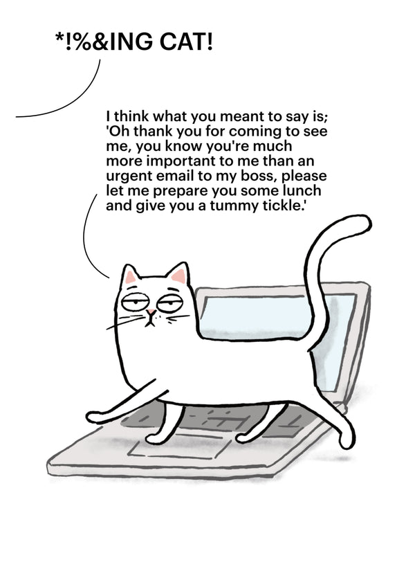 Cat On The Keyboard Card