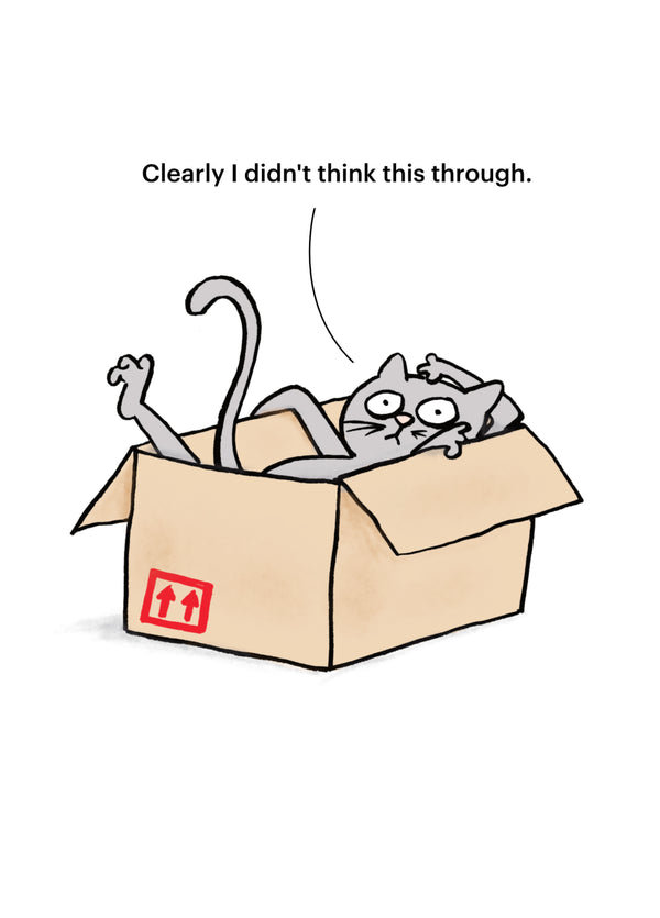 Cat Cardboard Box Card
