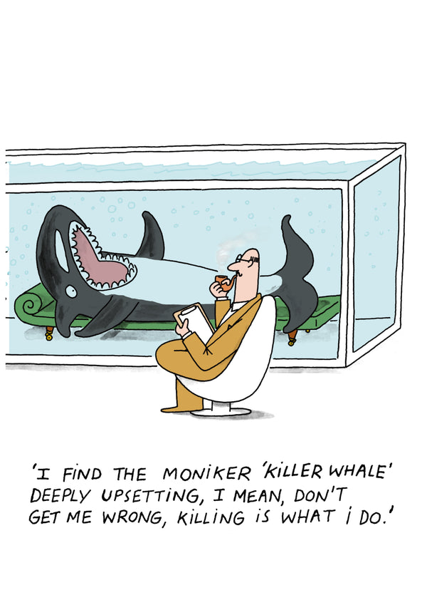 Killer Whale Card