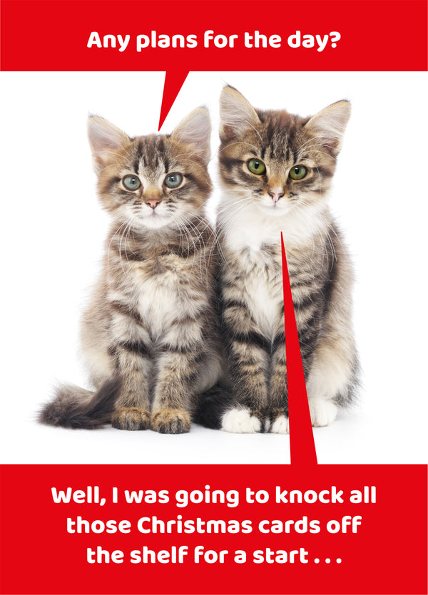 Cat Christmas Plans