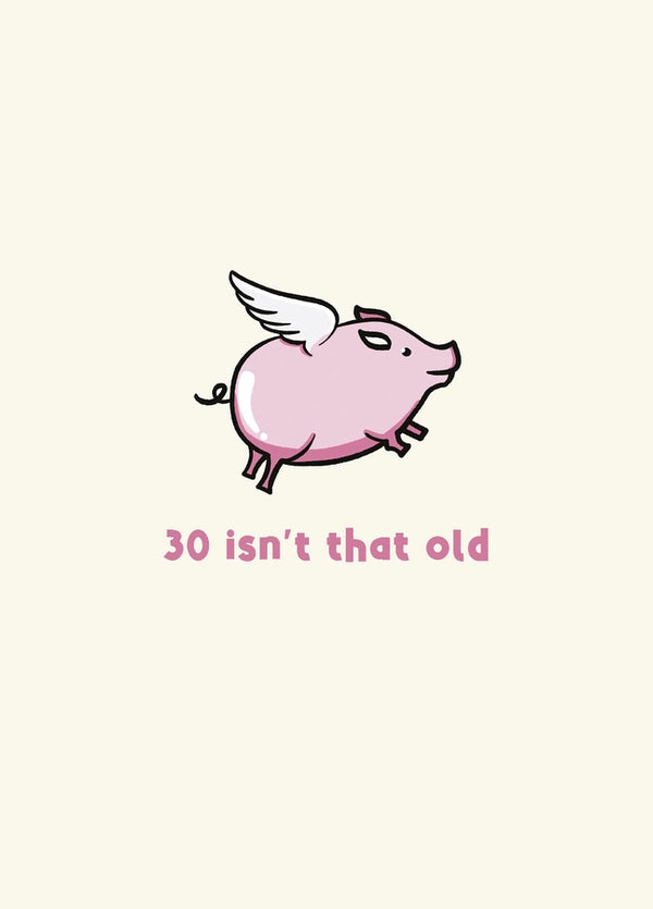 30th Birthday Card - Flying Pig