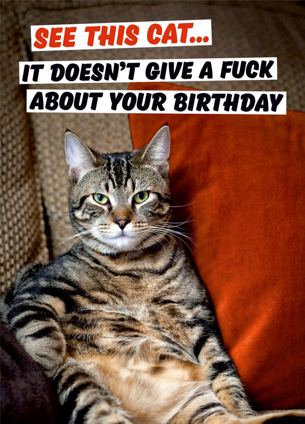 This Cat Card