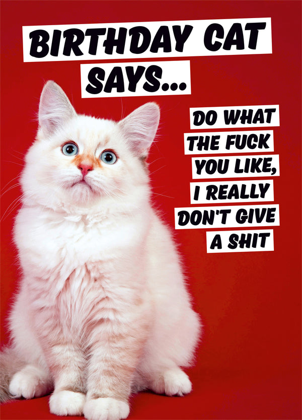 Birthday Cat Card