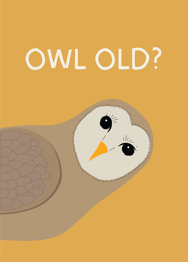 Funny 'Owl Old?' Birthday Card