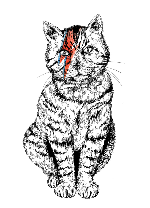 Bowie Cat Card