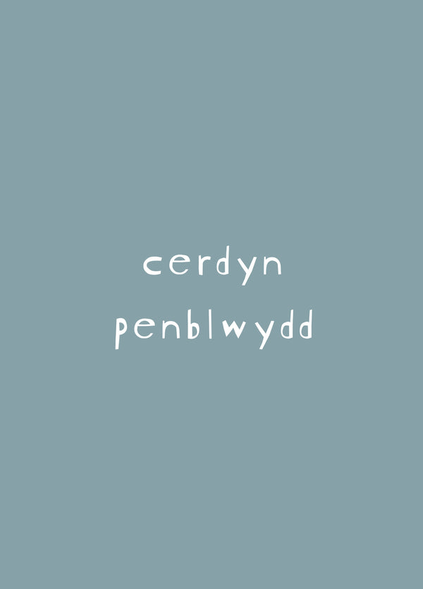 Cerdyn Penblwydd Card