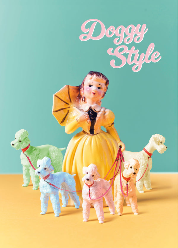 Doggy Style Lady With Pampered Poodles