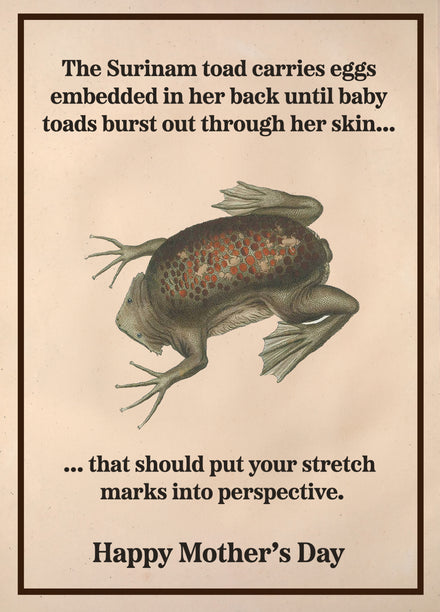 Card editor placeholder