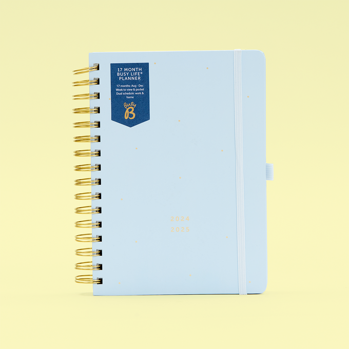 17 Month Blue Planner
