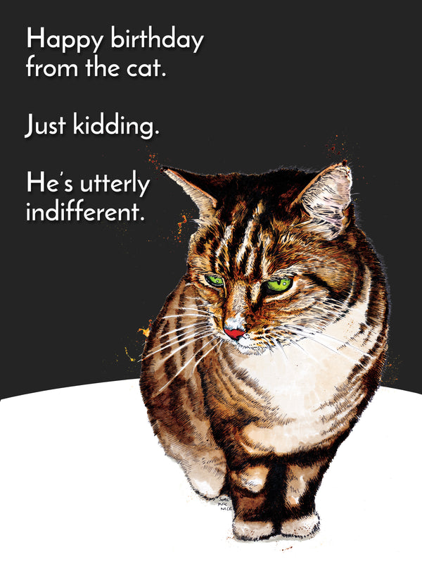 Happy Birthday From The Cat Card