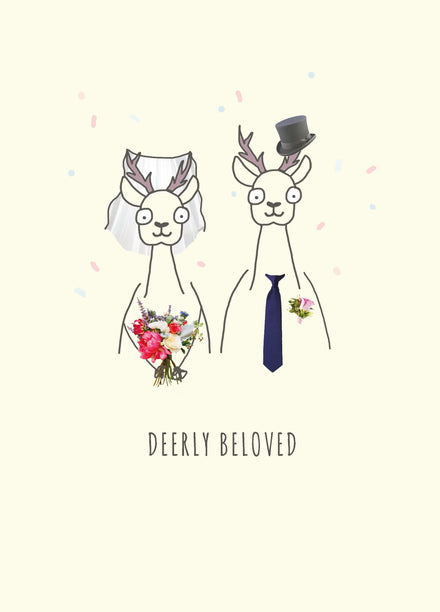 Card editor placeholder