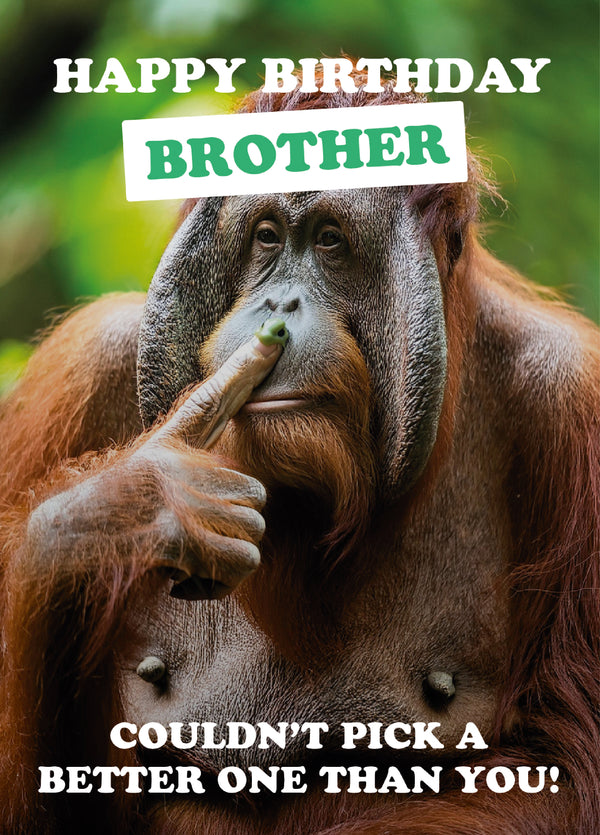 Brother Chimp Nose Pick Birthday Card