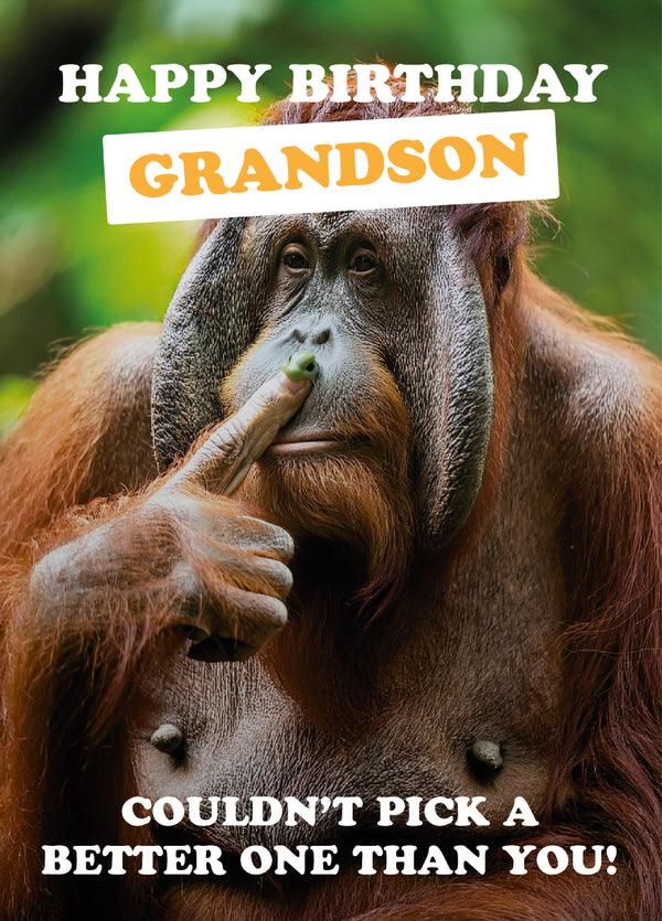 Grandson Chimp Nose Pick Birthday Card